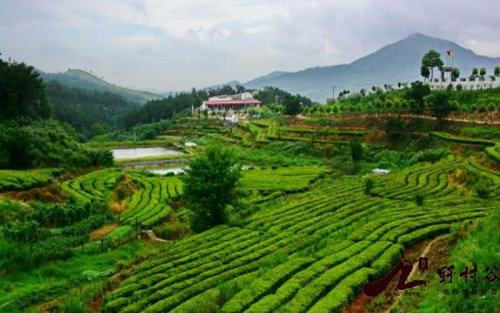 山保风景.jpg+2.jpg