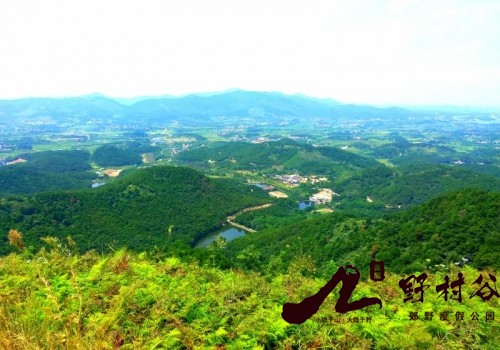 野村谷.jpg