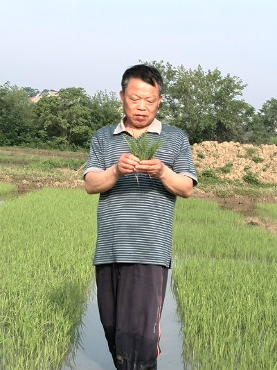 刘近照+.jpg