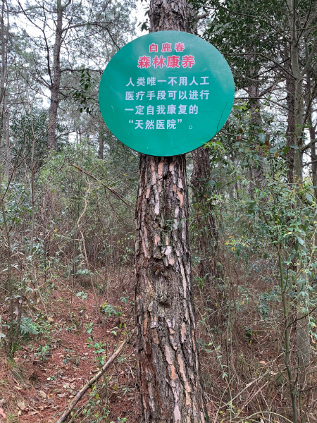 微信图片_20210307212042.jpg