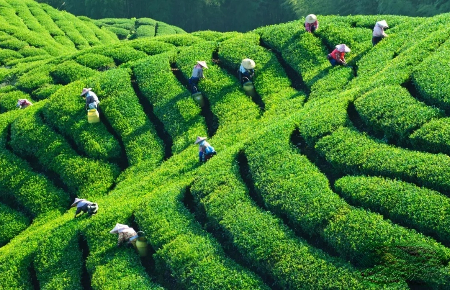未命名图片.jpg
