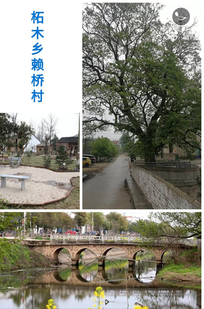 赖桥村.jpg