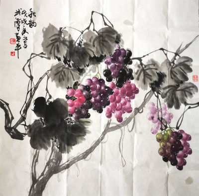 黄萄萄.jpg