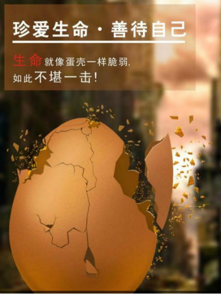 生命有如蛋壳.jpg