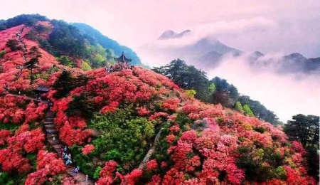 图片1(7).jpg