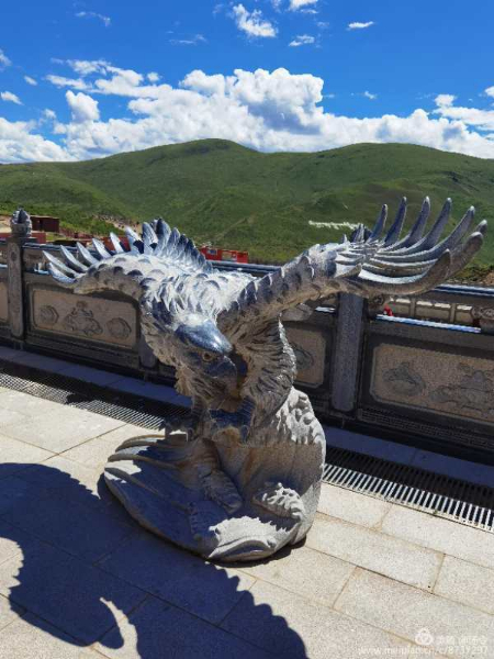 稿定设计导出-20200815-222056.jpg