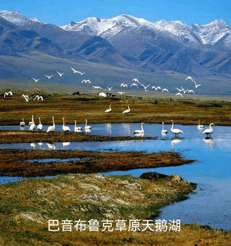微信图片_20220411222512.jpg