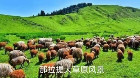 微信图片_20220411222532.jpg