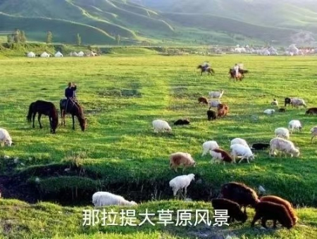 微信图片_20220411222543.jpg