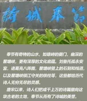 3ad376be4d1ac810b27a3b90cd6a1de6.jpg