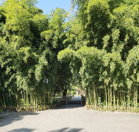微信图片_20231214181045.jpg