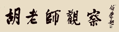 观察.jpg