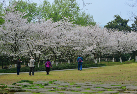 t0179127eaa78914bec.jpg