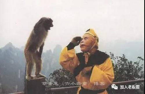 jpg猴子猴哥.jpg