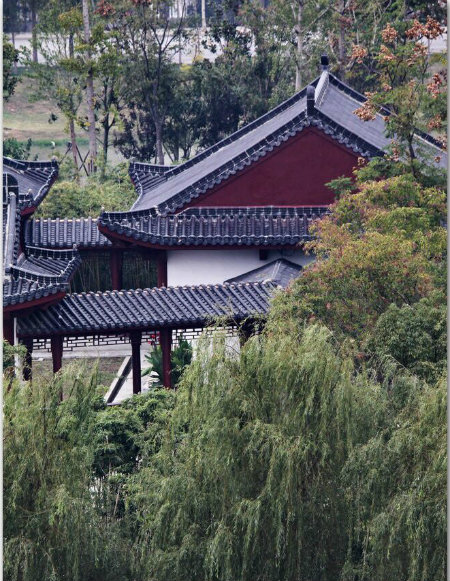 梦野书院.jpg