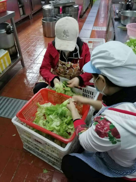 图片1洗摘生菜.jpg