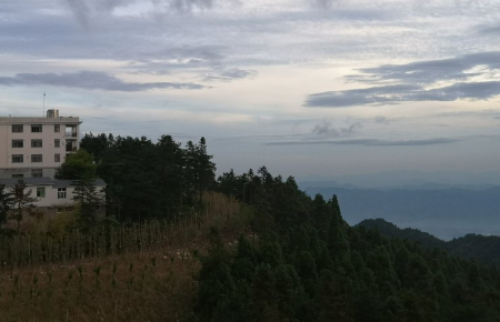 稿定设计导出-20200807-174922.jpg