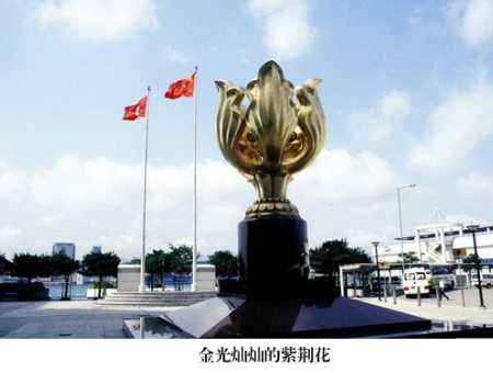 6、香港特区的标志：金光灿灿的紫.jpg