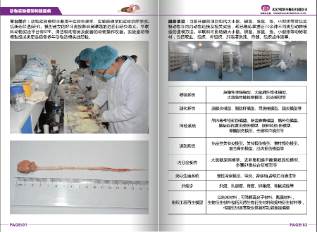 华联科动物模型研究平台.jpg
