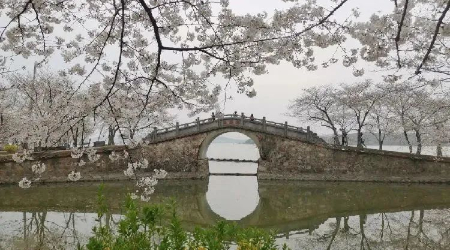 微信图片_20230318073946.jpg