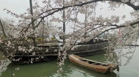 微信图片_20230318074009.jpg