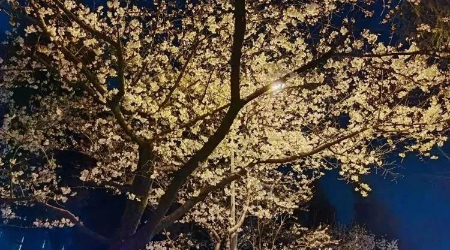 微信图片_20230318074001.jpg