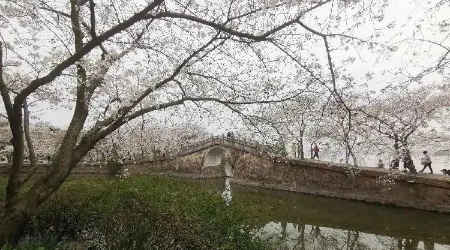 微信图片_20230318074044.jpg
