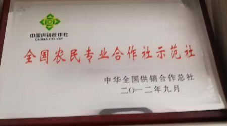 图片8.jpg