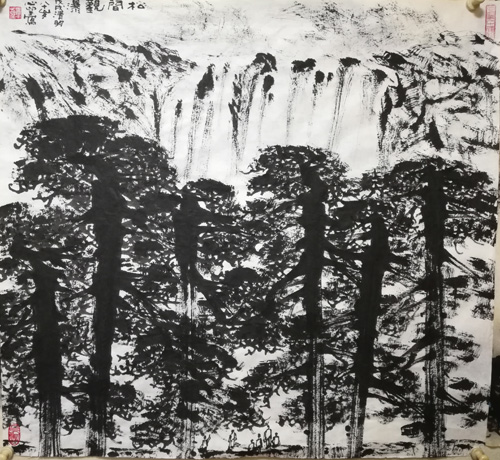 jpg排松.jpg