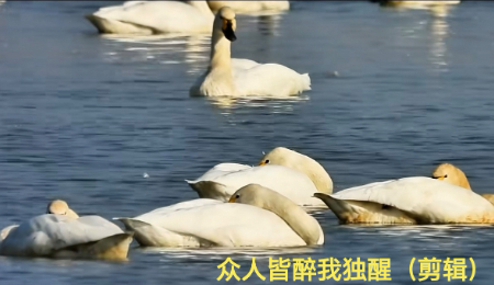 微信图片_20250316063217.jpg