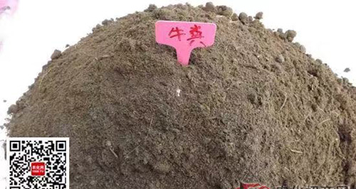 粪堆.jpg