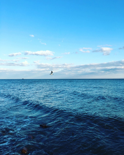 大海.jpg+.jpg