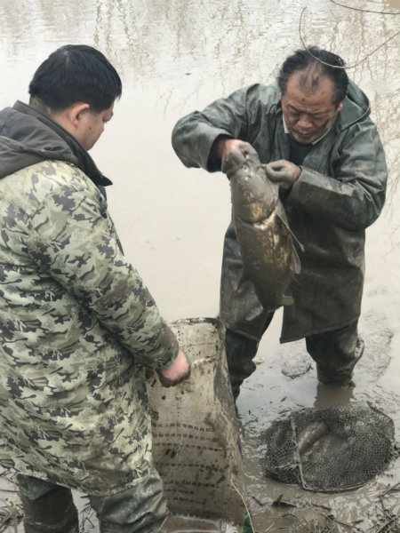 捉鱼.jpg