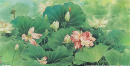 荷花++.jpg