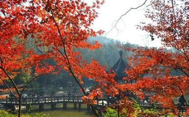 稿定设计导出-20200809-145324.jpg
