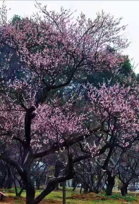 未命名图片.jpg