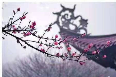 微信图片_20210218124114.jpg