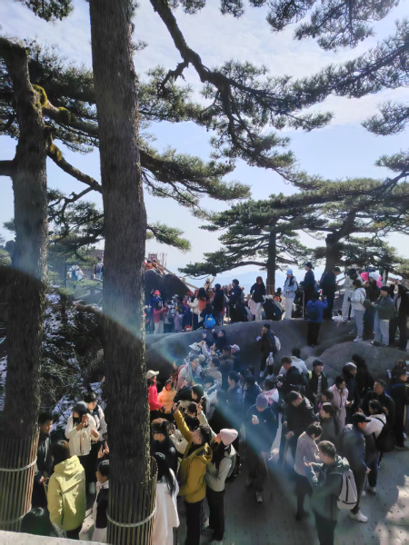 微信图片_20250318183221.jpg