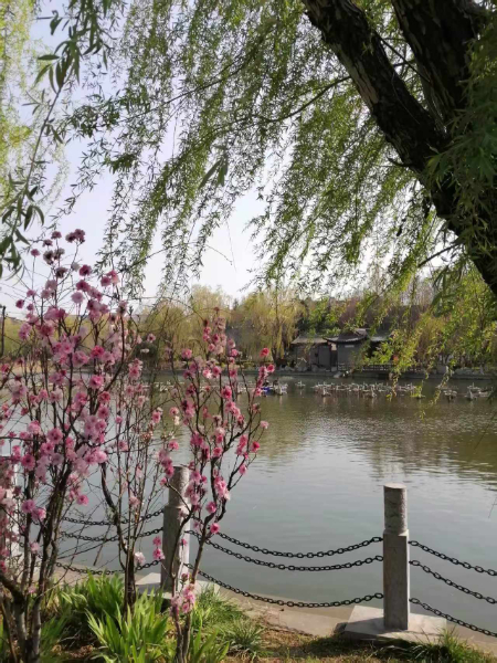 微信图片_20250414062032.jpg