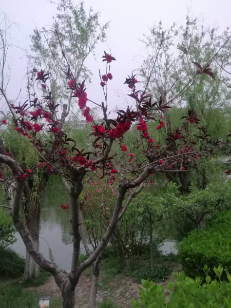 微信图片_20250414062041.jpg