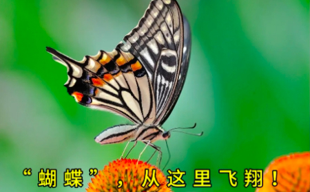 微信图片_20250416134147.jpg