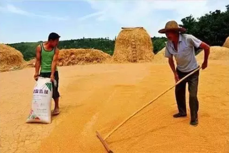 微信图片_20250501061953.jpg