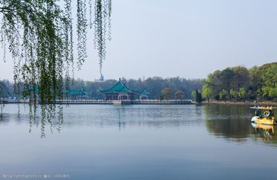 t01c9a06f759a181c9a.jpg