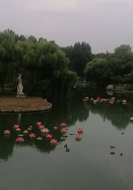 微信图片_20250907203746.jpg