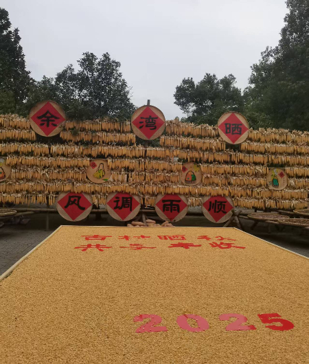 微信图片_20250929064212.jpg