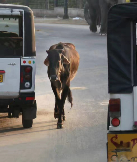 1771986908669760.jpg 微信图片_20260225061546_246_2.jpg