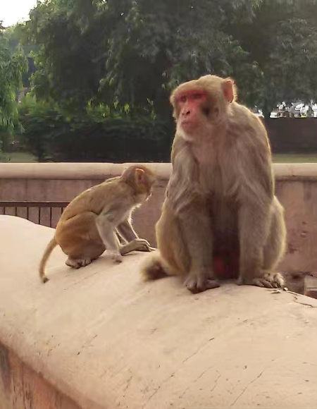 1771986939723720.jpg 微信图片_20260225061548_248_2.jpg