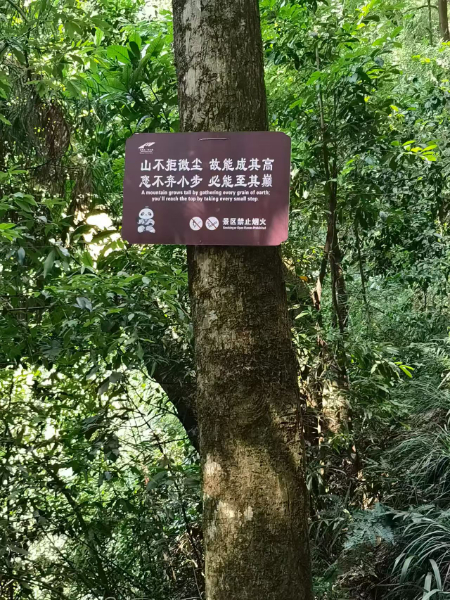 1788868600320302.jpg fa54e11941331b5d4c91ddac86b7c276.jpg