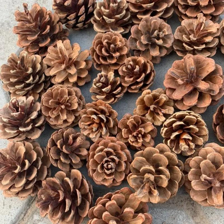 u=1855643861,1572729985&fm=253&a (1).jpg