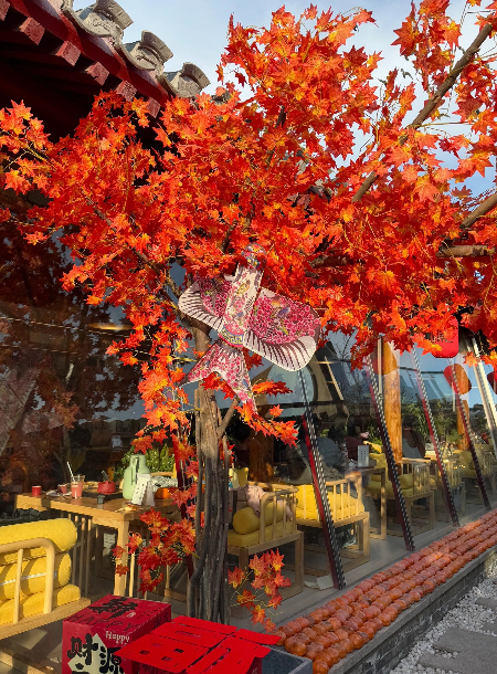 1771154160792003.jpg Lk_I0tGYrK3vwOZDP23KYPh7R6fPok64.jpg